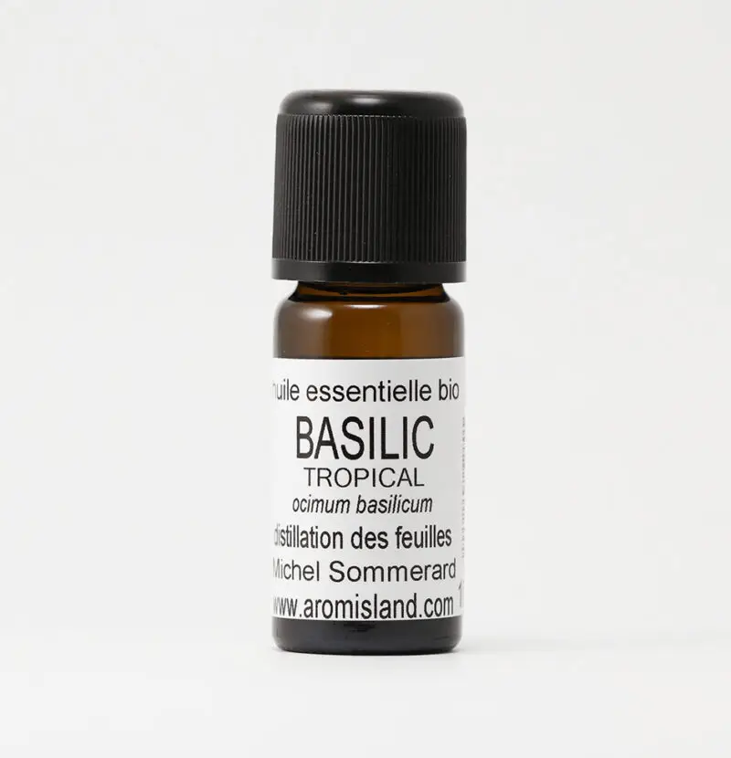 Flacon d' Huile Essentielle de Basilic Tropical Bio ( Ocimum basilicum ) , distillation pure et biologique.
