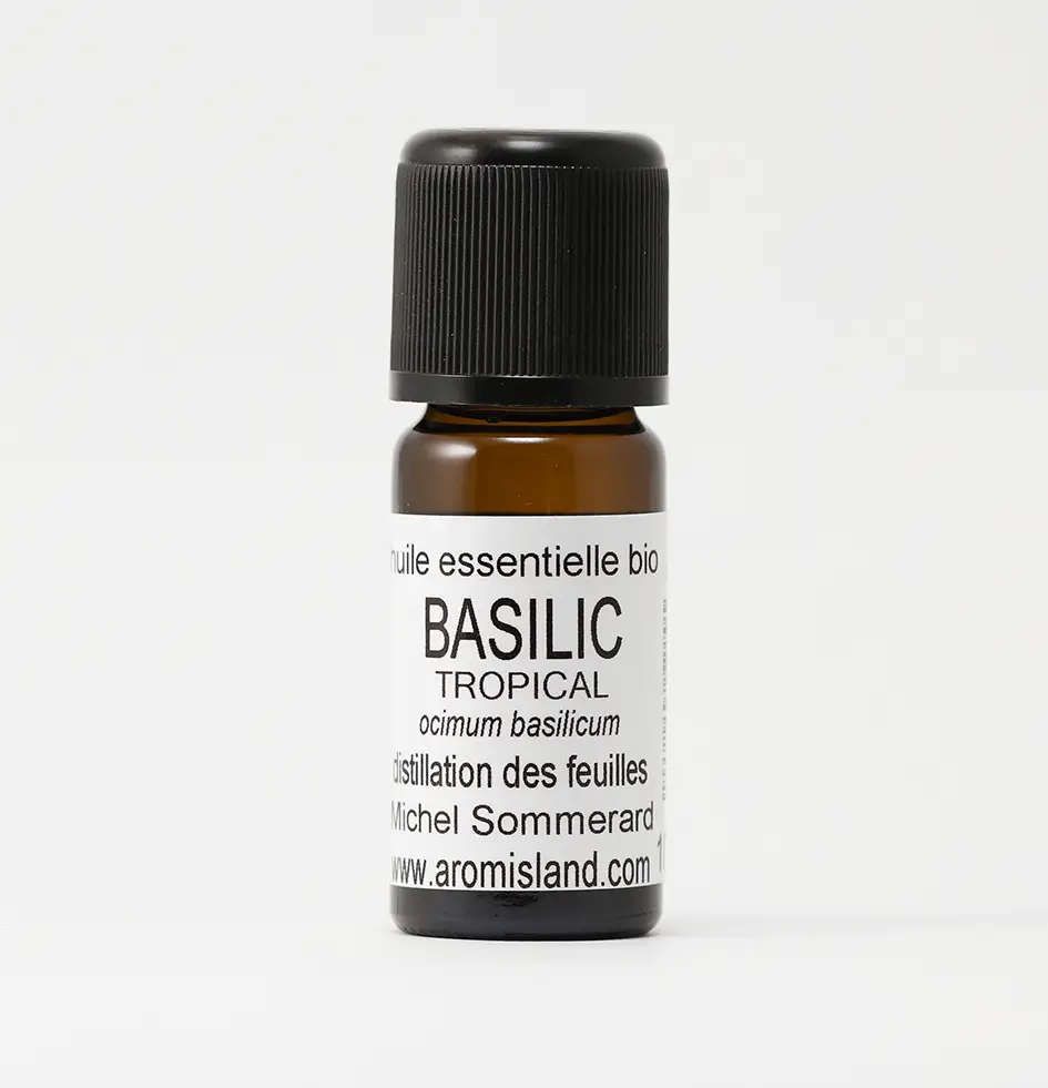 Flacon d' Huile Essentielle de Basilic Tropical Bio ( Ocimum basilicum ) , distillation pure et biologique.