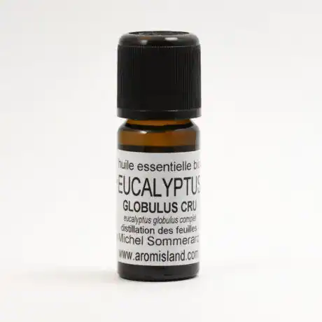 Flacon d’Huile Essentielle d’Eucalyptus Globulus Bio (Eucalyptus globulus compactum), distillation pure des feuilles d’eucalyptus de Madagascar.