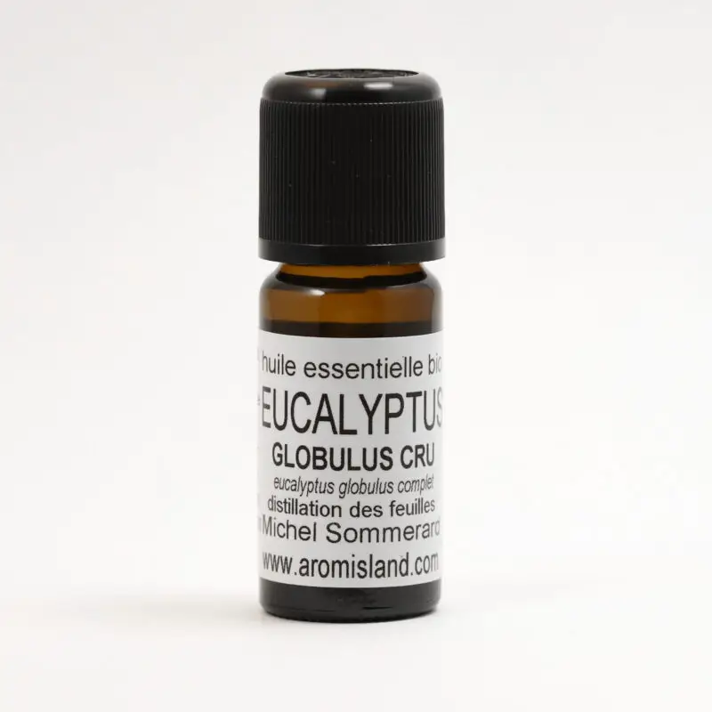 Flacon d’Huile Essentielle d’Eucalyptus Globulus Bio (Eucalyptus globulus compactum), distillation pure des feuilles d’eucalyptus de Madagascar.