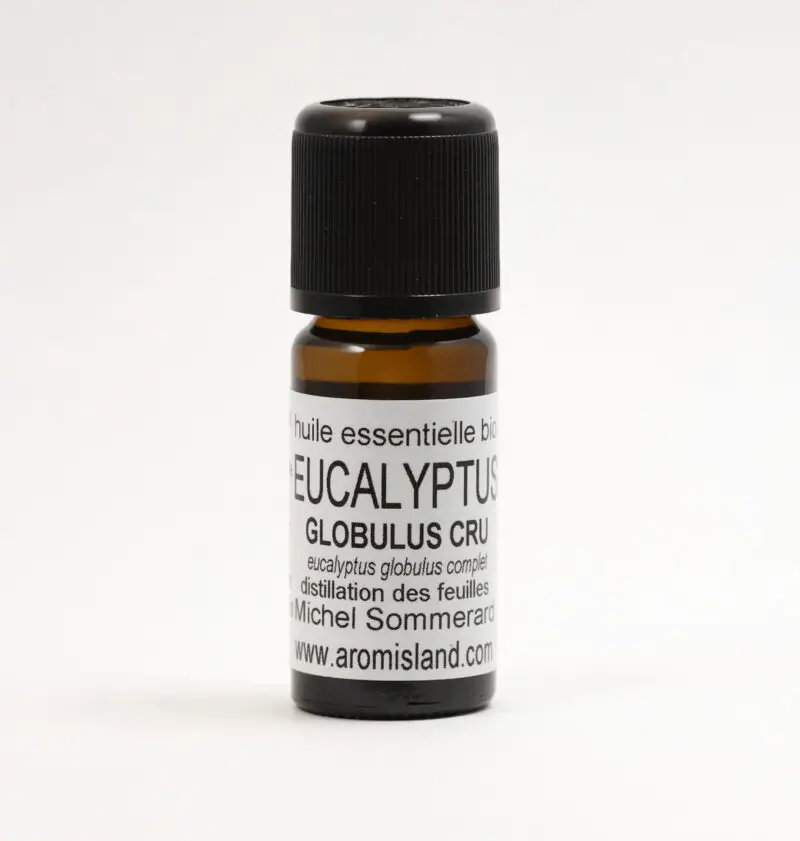 Flacon d’Huile Essentielle d’Eucalyptus Globulus Bio (Eucalyptus globulus compactum), distillation pure des feuilles d’eucalyptus de Madagascar.