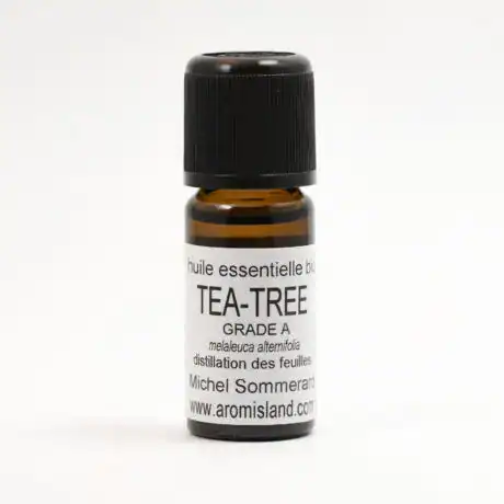 Flacon d' Huile Essentielle de Tea Tree Bio Grade A ( Melaleuca alternifolia ) , distillation pure et artisanale.
