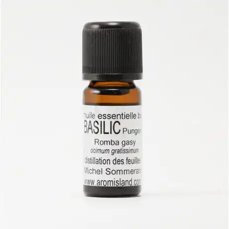 Flacon d' Huile Essentielle de Basilic Pungent Bio ( Ocimum gratissimum ) , distillation pure et biologique.