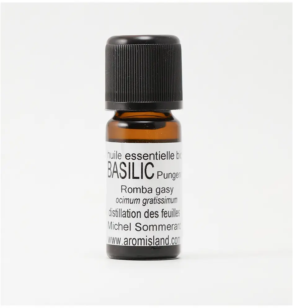 Flacon d' Huile Essentielle de Basilic Pungent Bio ( Ocimum gratissimum ) , distillation pure et biologique.