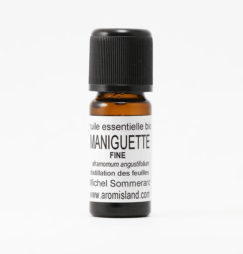 Découvrez l’Huile Essentielle de Maniguette Fine Bio, une huile précieuse aux vertus relaxantes et réconfortantes, idéale pour l’équilibre émotionnel et le bien-être.
