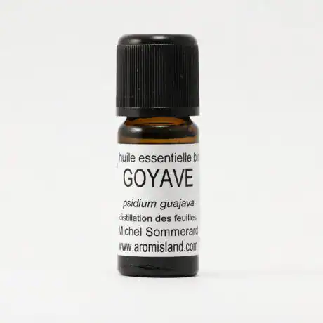 Flacon d’Huile Essentielle de Goyave Bio (Psidium guajava), distillation pure et biologique.