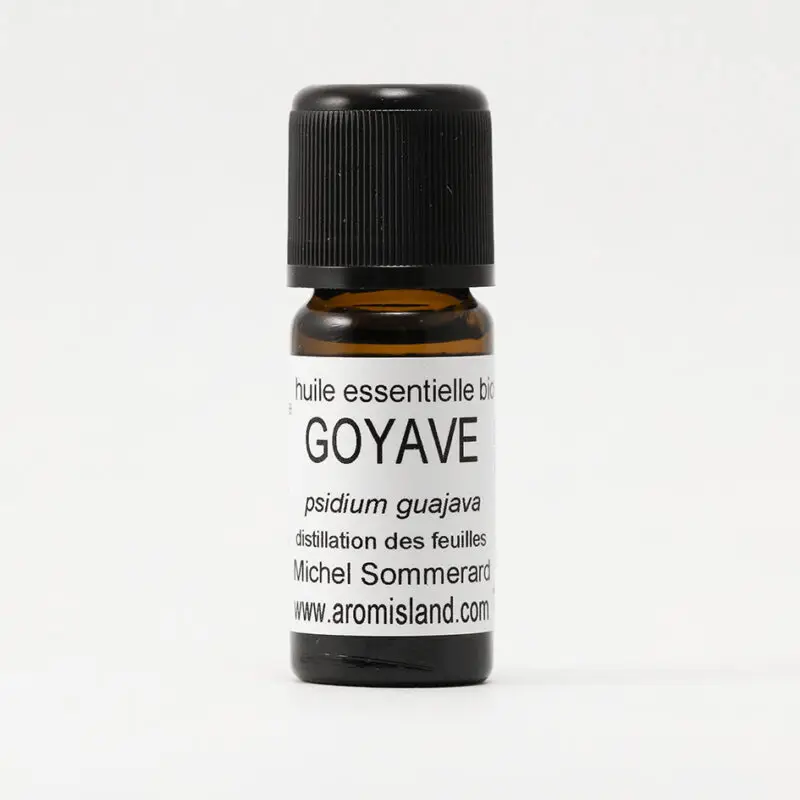 Flacon d’Huile Essentielle de Goyave Bio (Psidium guajava), distillation pure et biologique.