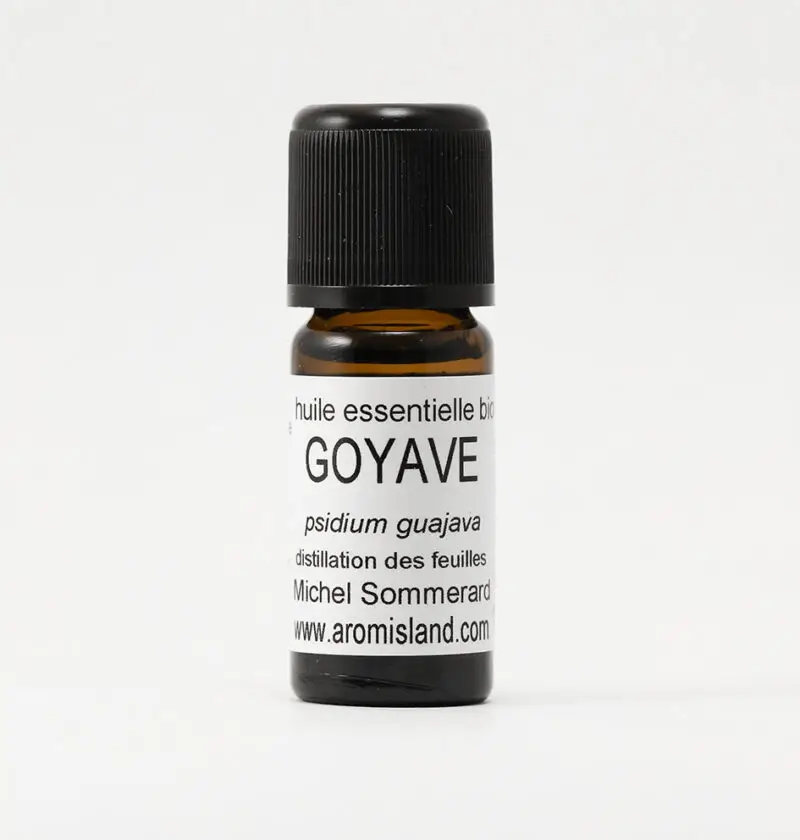 Flacon d’Huile Essentielle de Goyave Bio (Psidium guajava), distillation pure et biologique.