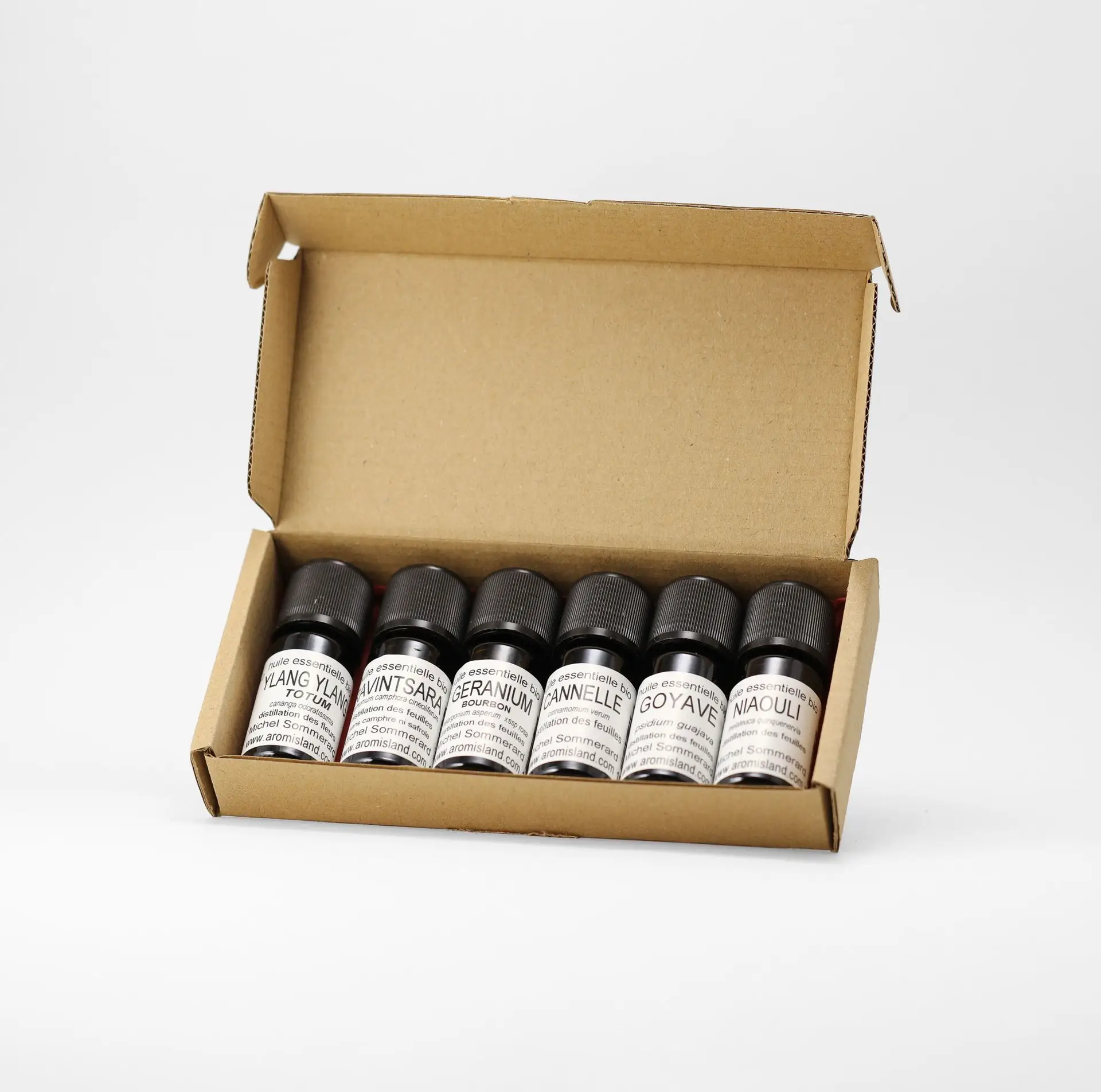 Coffret cadeau 6 huiles essentielles bio alignées dans leur boîte