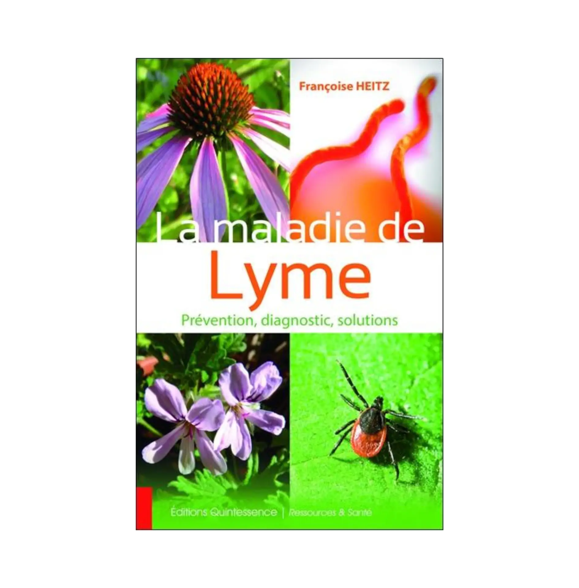 Couverture du livre « La maladie de Lyme - Prévention, diagnostic, solutions »