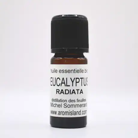Flacon d’huile essentielle d’eucalyptus radiata bio