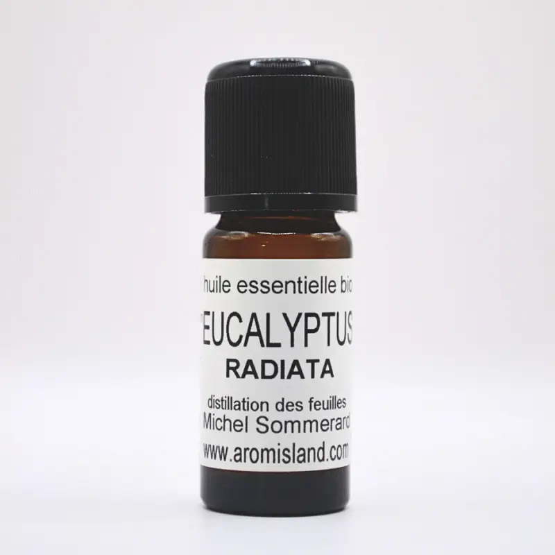 Flacon d’huile essentielle d’eucalyptus radiata bio