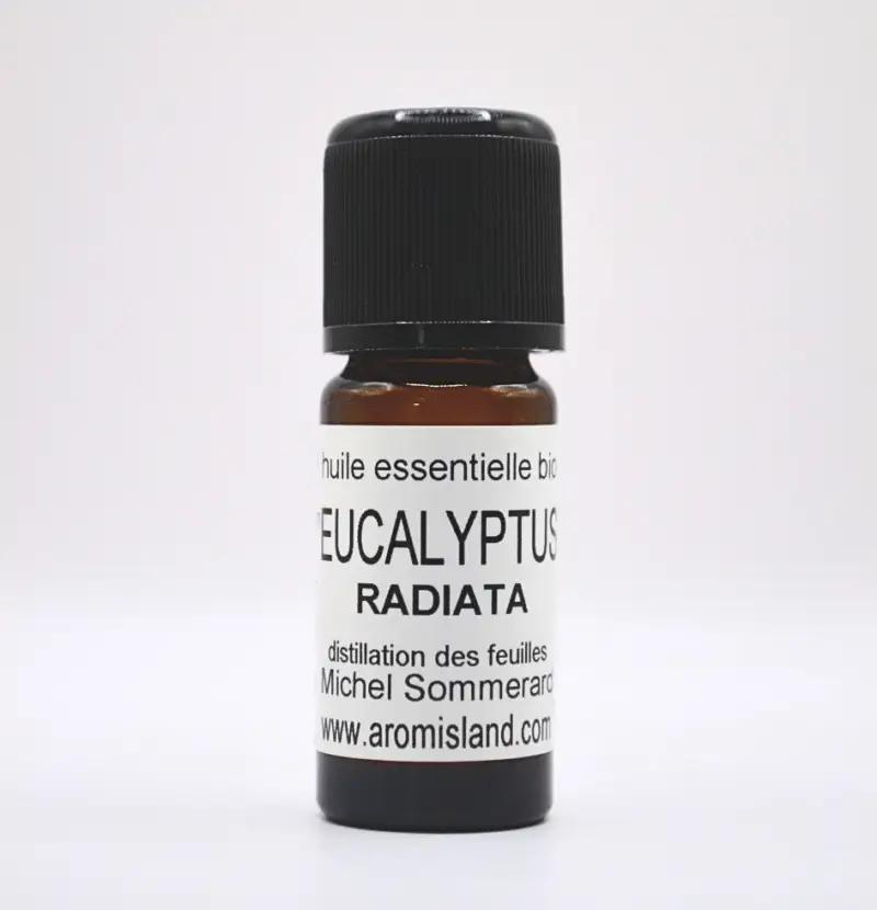 Flacon d’huile essentielle d’eucalyptus radiata bio