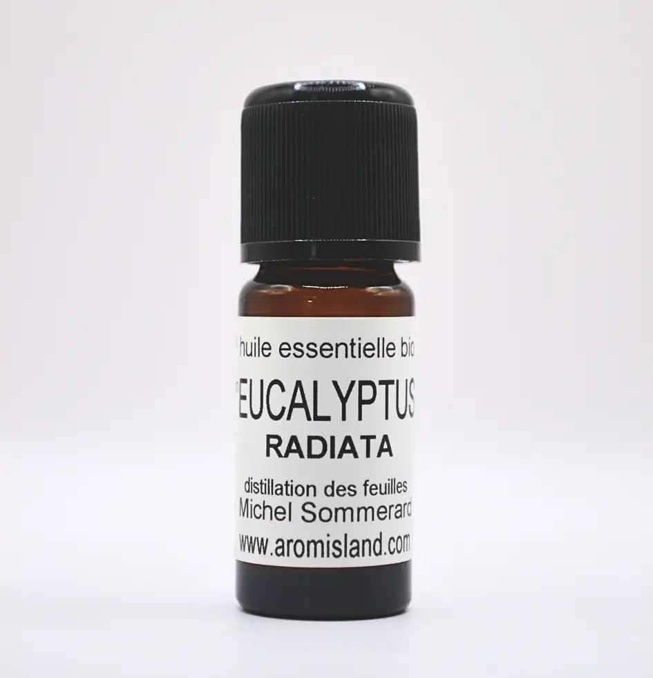 Flacon d’huile essentielle d’eucalyptus radiata bio