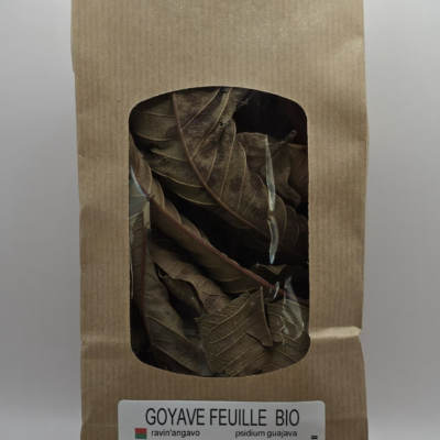 Feuilles de goyave Madagascar Psidium guajava