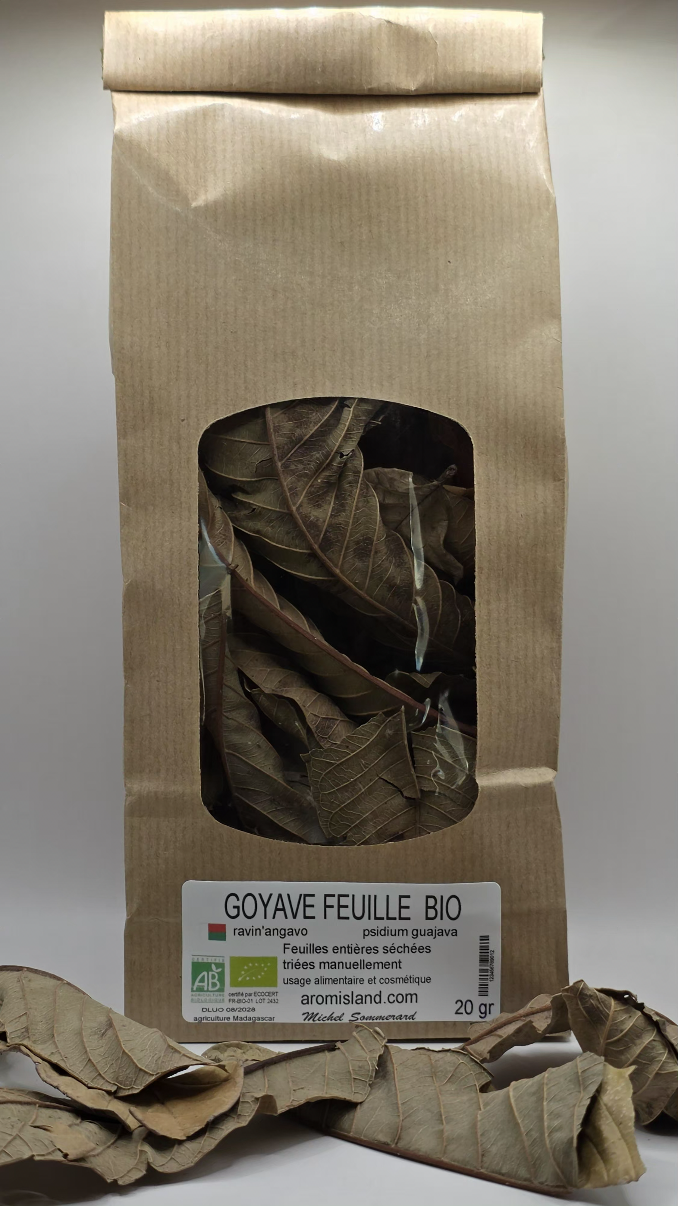 Feuilles de goyave Madagascar Psidium guajava