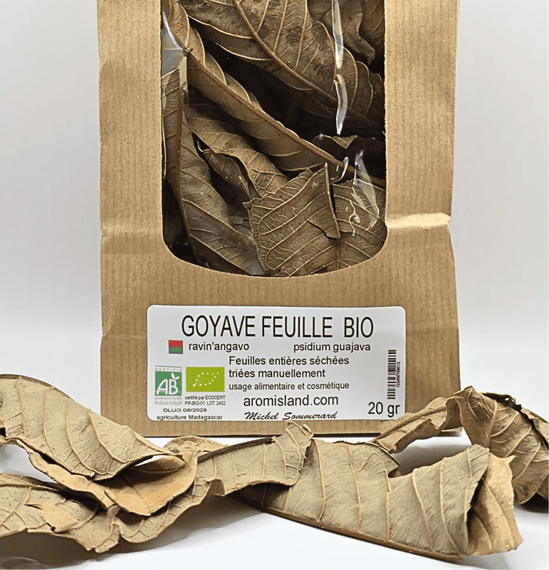 Feuille de Goyave
