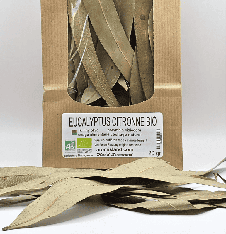 Eucalyptus Citronné