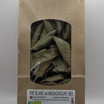 Thé Blanc de Madagascar Aphloia theiformis