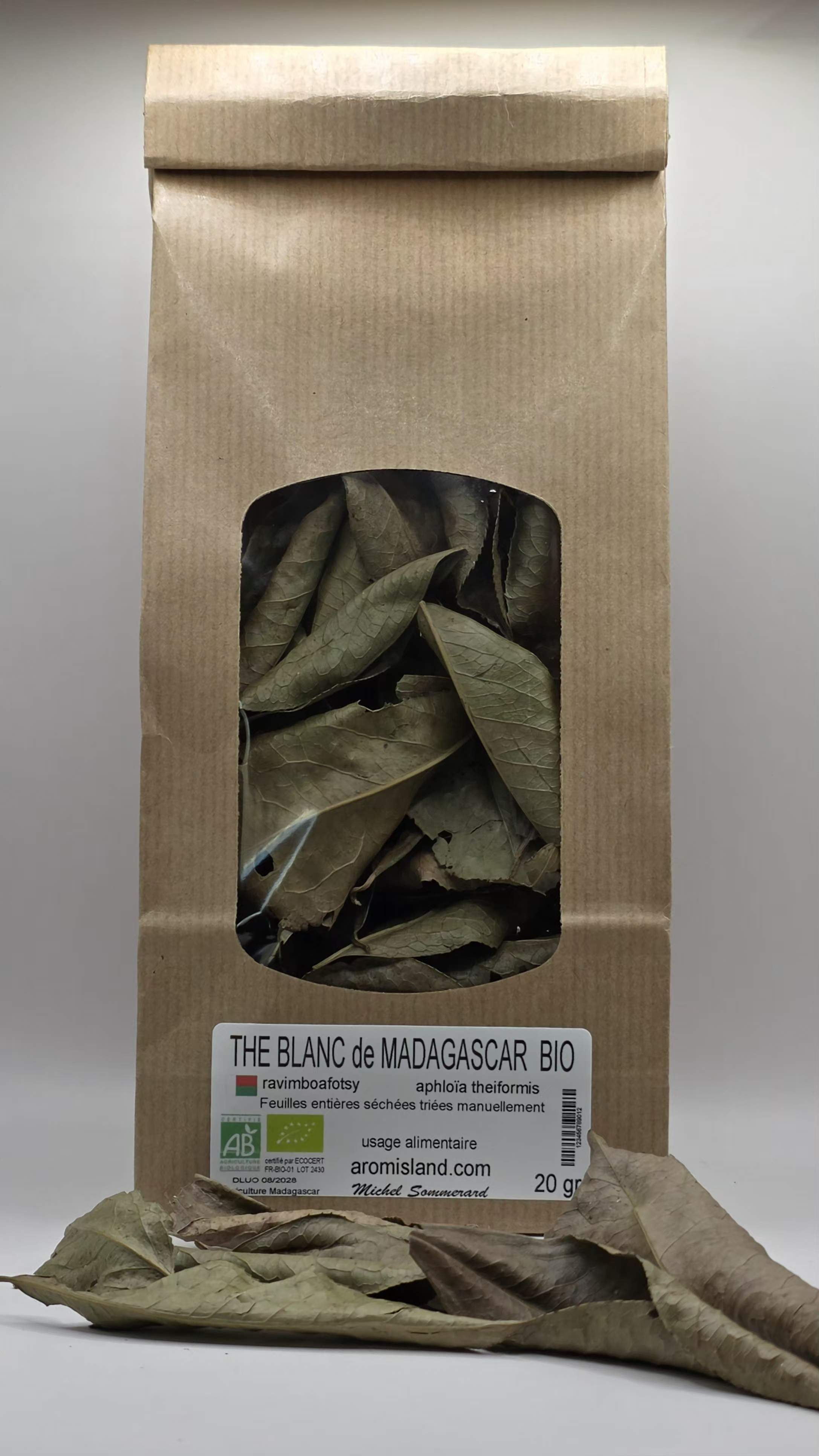 Thé Blanc de Madagascar Aphloia theiformis